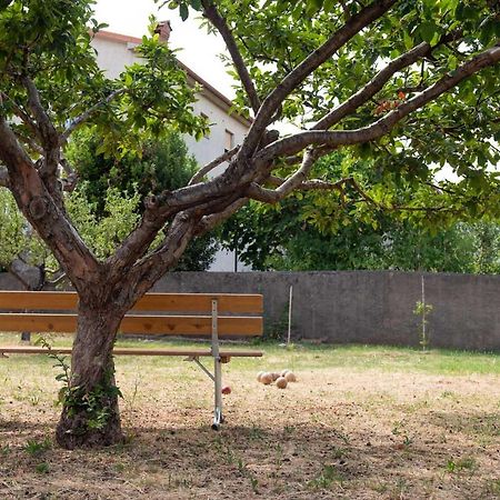 קסטב Apartman Mjeda מראה חיצוני תמונה
